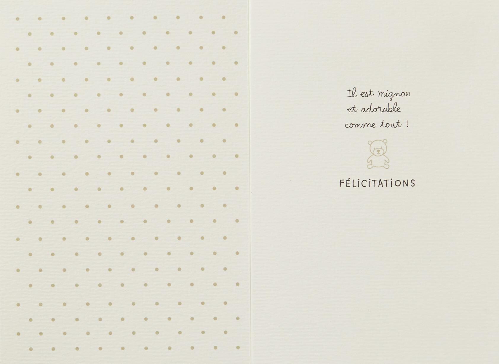 Stroller French-Language New Baby Card