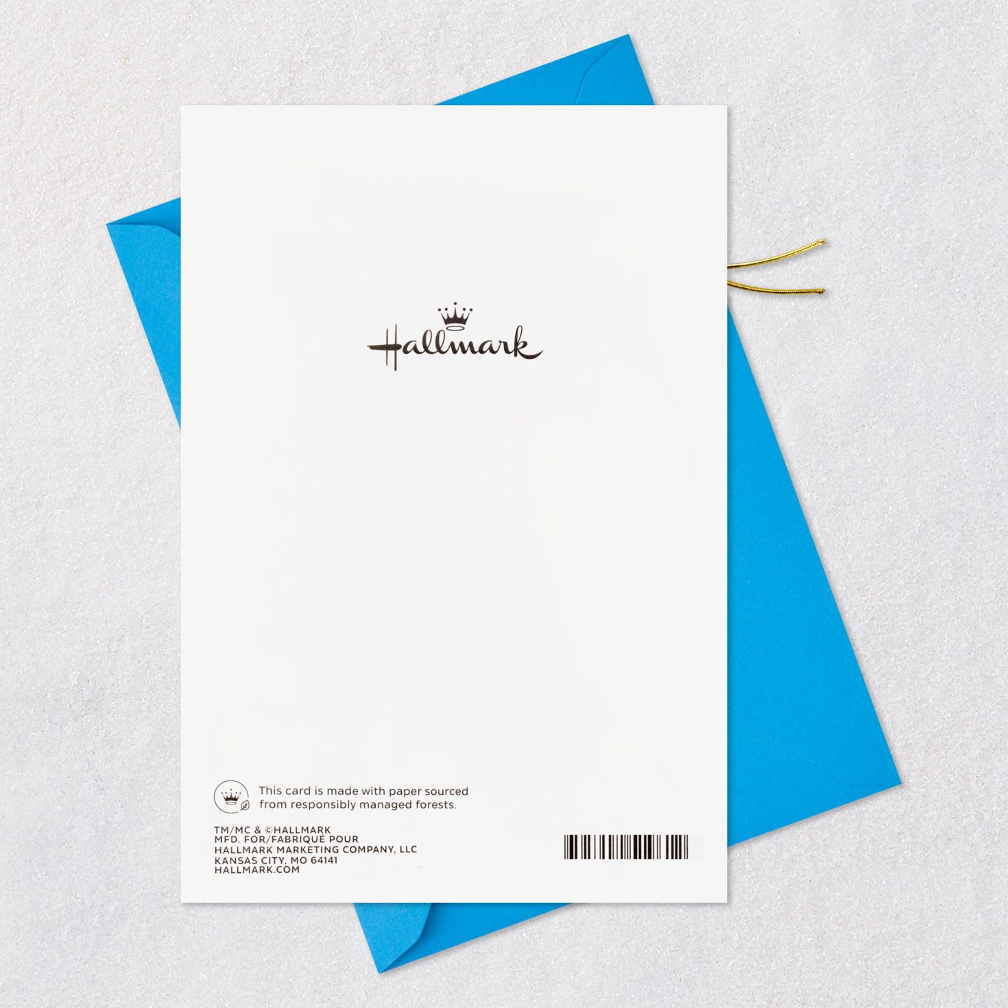 Thanks for Everything Father's Day Card for Dad for only USD 5.99 | Hallmark