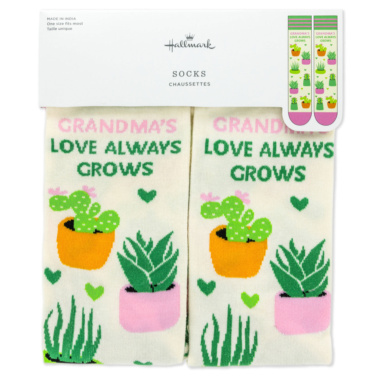 Succulent House Plants Novelty Socks for Grandma package front image number 5