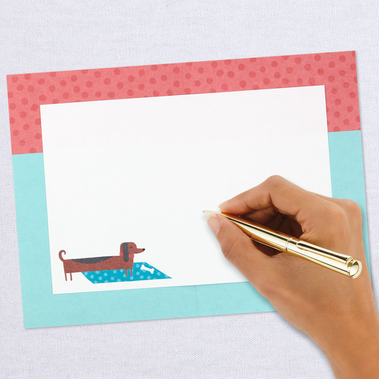 Dog Party Blank Card for only USD 3.99 | Hallmark