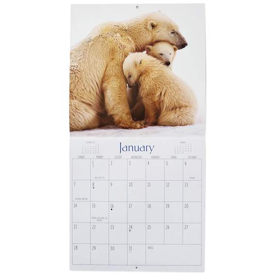 Wildlife Babies 2018 Wall Calendar, 12-Month, , large image number 3