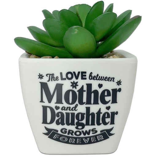 Faux Potted Succulent With Mom and Daughter Message, 
