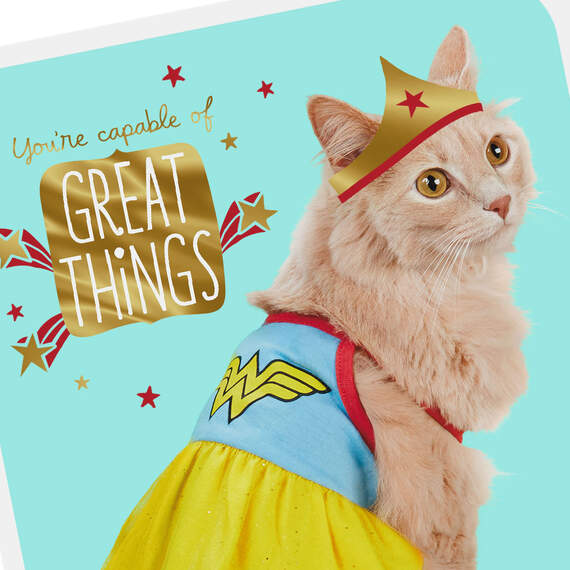 DC Comics™ Wonder Woman™ Kitty in Costume Get Well Card, , large image number 4