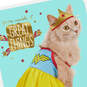 DC Comics™ Wonder Woman™ Kitty in Costume Get Well Card, , large image number 4
