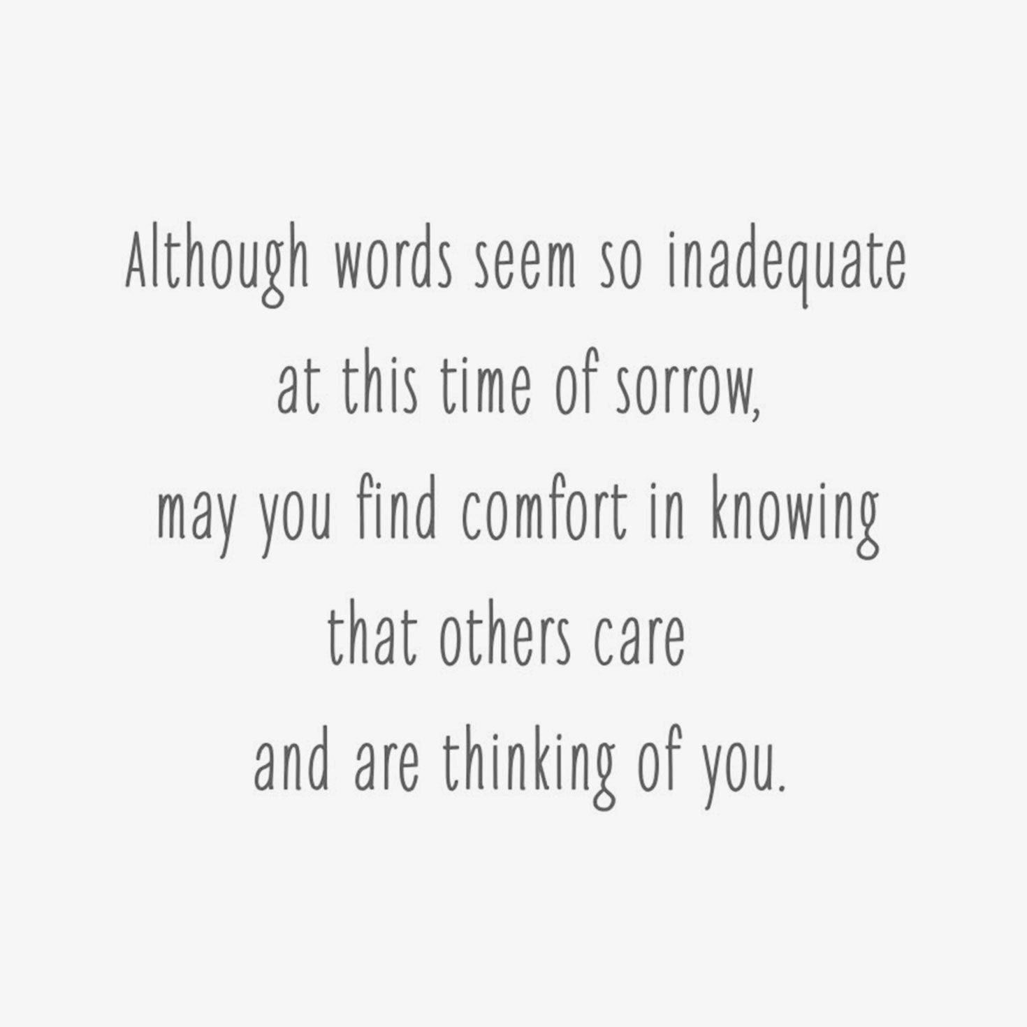 Single Feather Sympathy Card for Loss of Grandson Greeting Cards