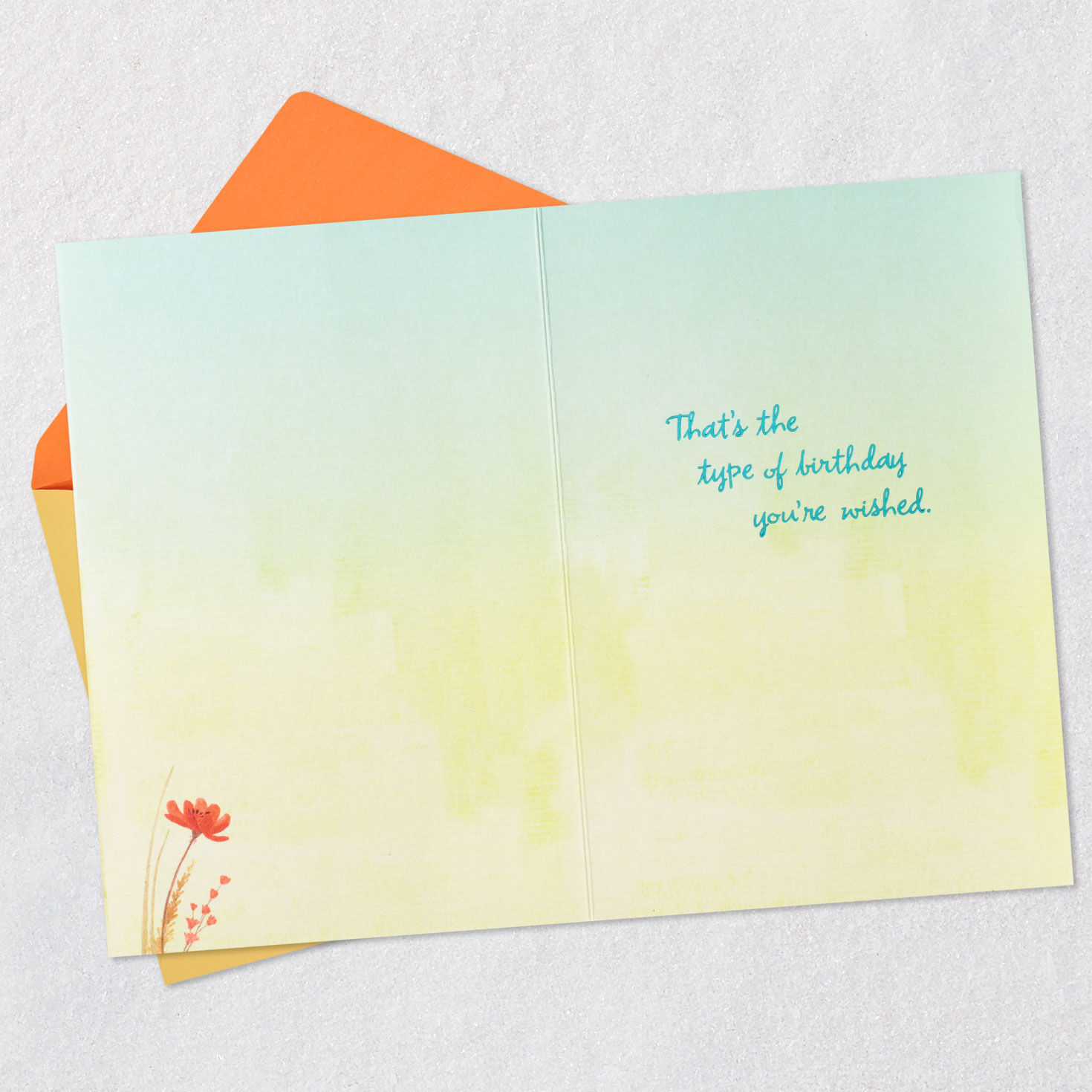 Wild, Happy and Free Birthday Card for only USD 4.59 | Hallmark