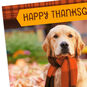 Golden Retriever in Scarf Thanksgiving Cards Pack Card Front Detail image number 4