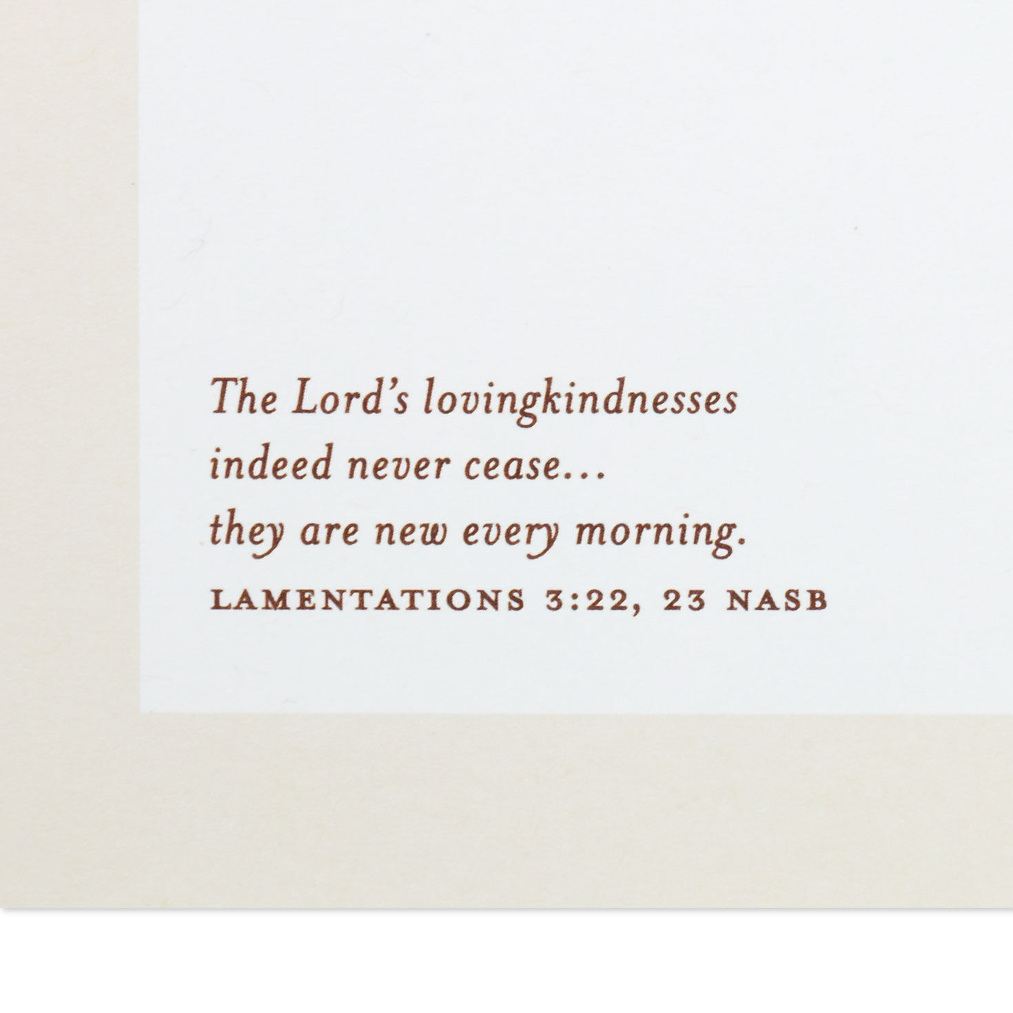 Painted Cream and Pink Flowers Anniversary Card  image number 3