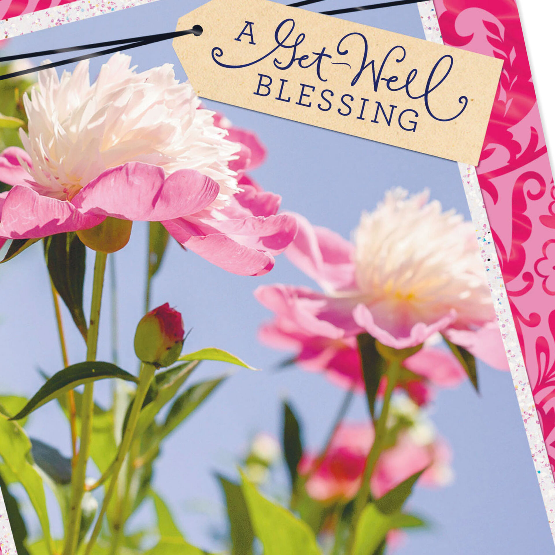 Peony Flower Photo With Blessing Get Well Card - Greeting Cards - Hallmark