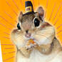 Chipmunk Cheeks Funny Thanksgiving Card, , large image number 4