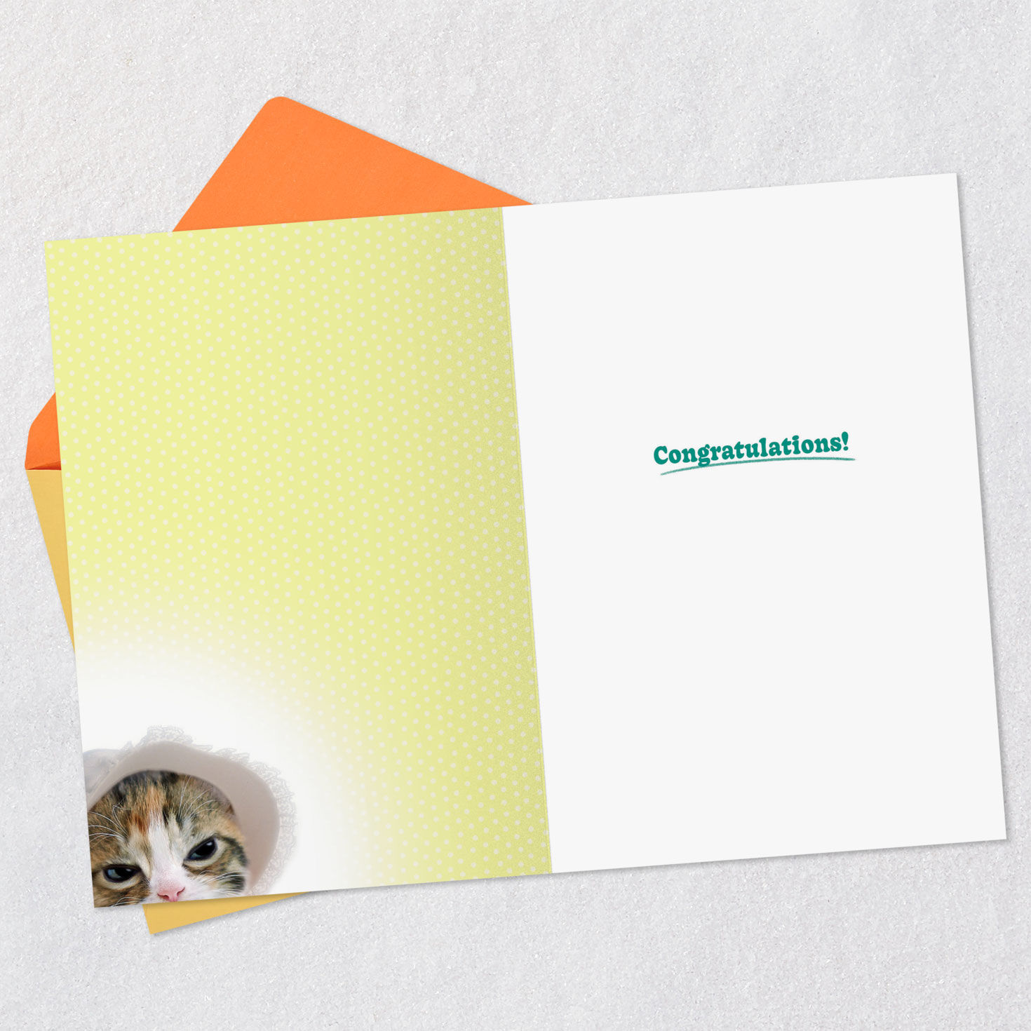 Kitty in Bonnet New Baby Congratulations Card Open card with envelope image number 3