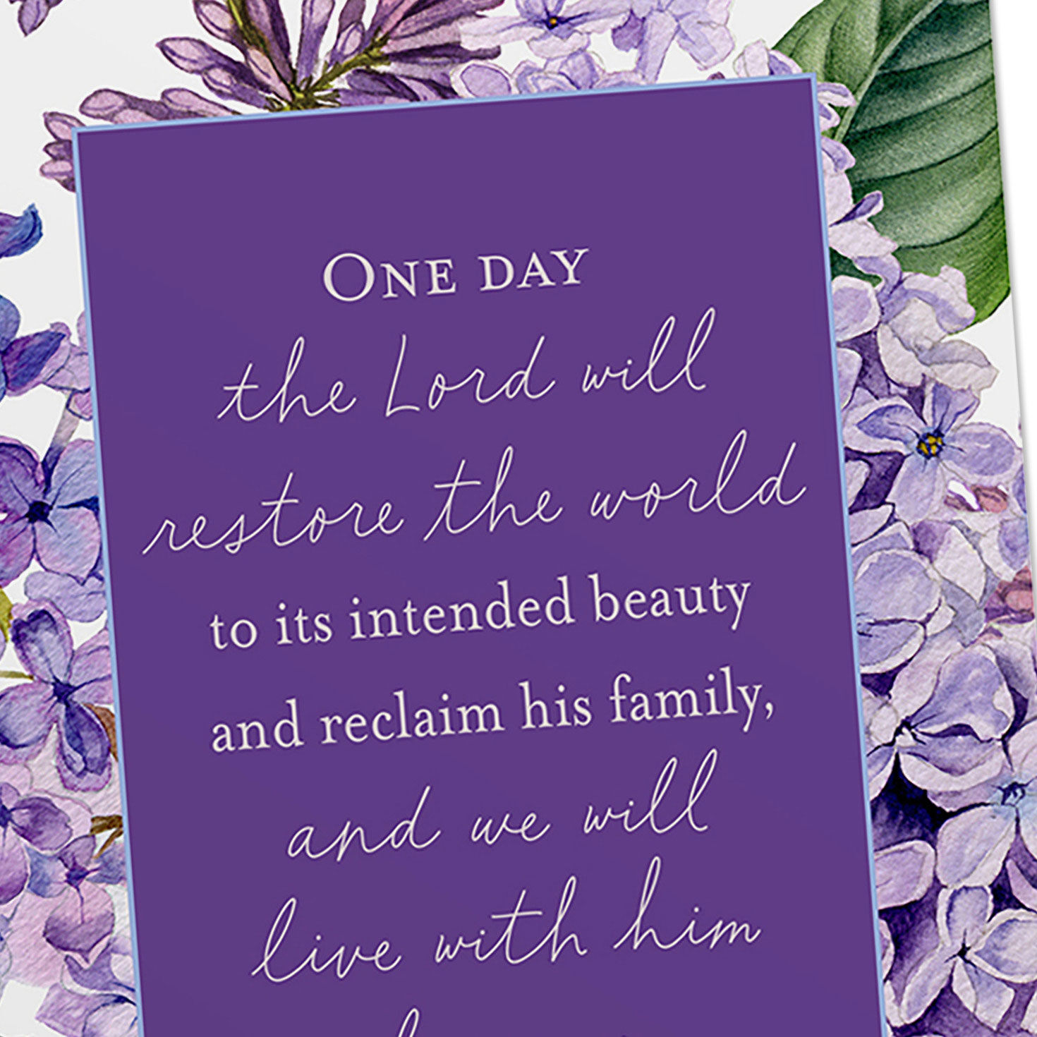 Max Lucado DaySpring Sympathy Cards Assortment Cover Detail image number 5