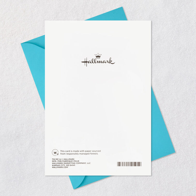 Glad To Have You, Grandson Birthday Card, , large image number 8