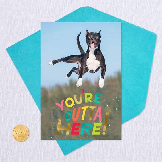 You're Outta Here Jumping Dog Funny Retirement Card, , large image number 5