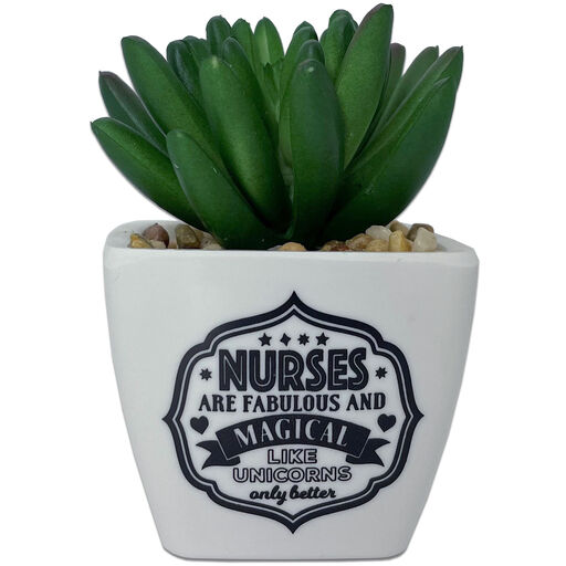 Faux Potted Succulent With Nurse Message, 