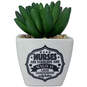 Faux Potted Succulent With Nurse Message, , large image number 1