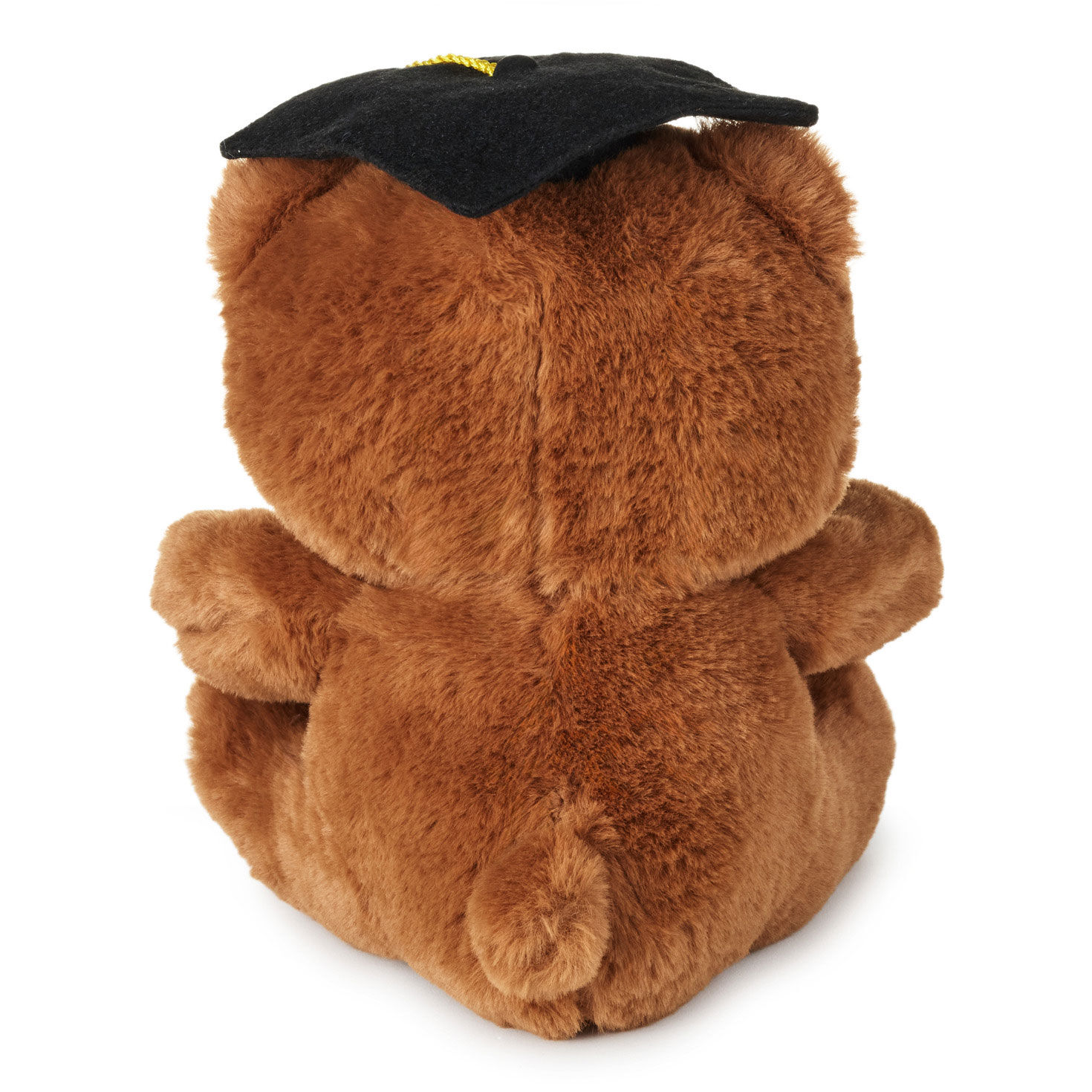 Brown Bear in Grad Cap Plush Back image number 2