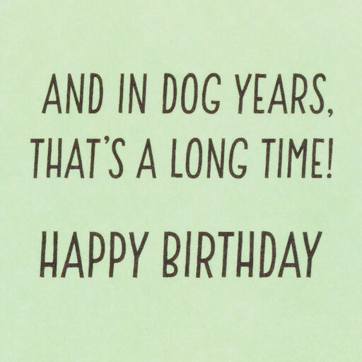 Dog Years Waiting for Cake Funny Birthday Card, 