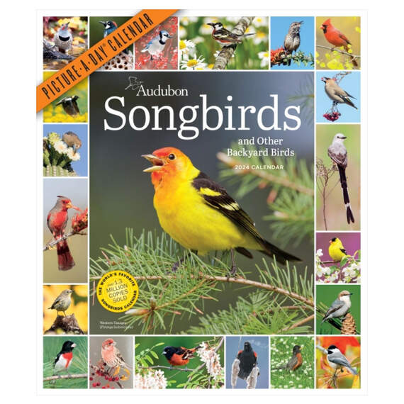 Audubon Songbirds and Other Backyard Birds Picture-a-Day 2024 Wall Calendar