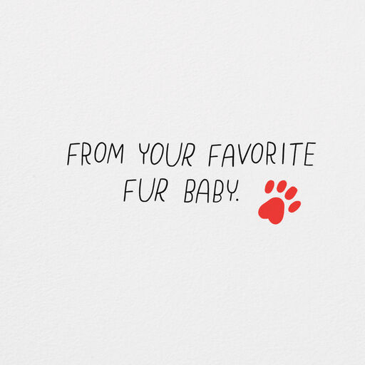 You're My Favorite Birthday Card From the Cat, 