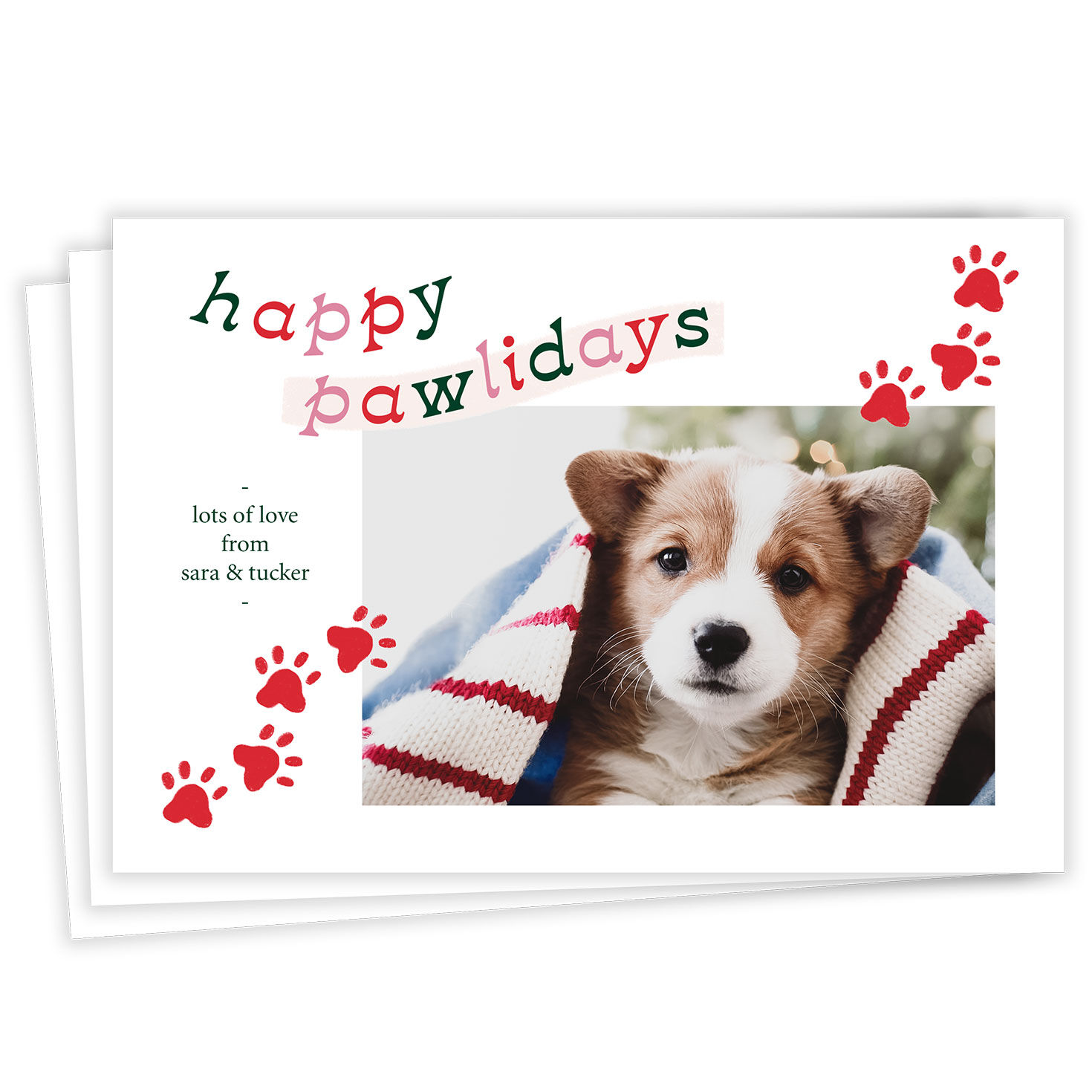 Fun Pawlidays Pet Flat Holiday Photo Card