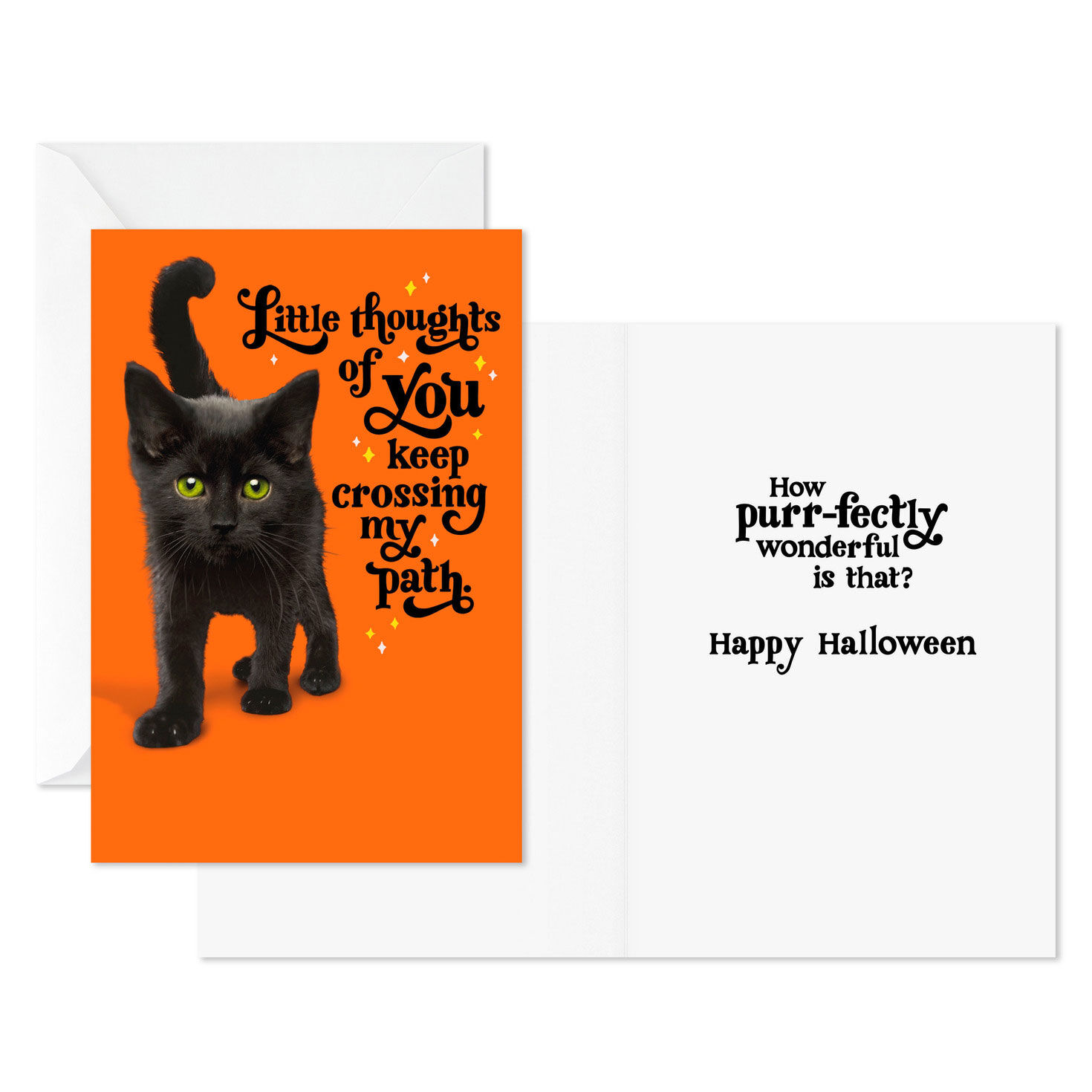 Black Kitty on Orange Halloween Cards Pack Card Front with Sentiment image number 2