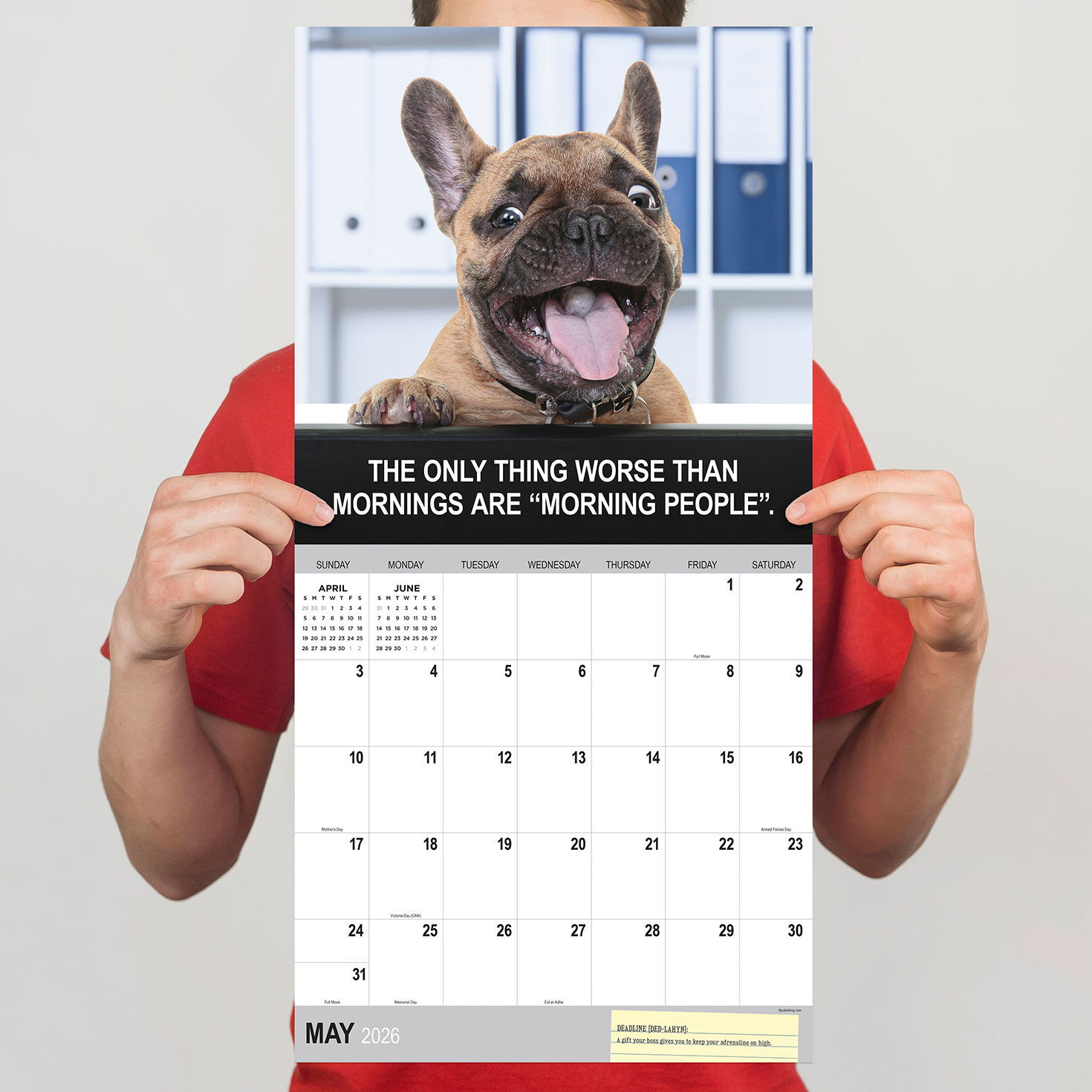 Desk Dogs Funny 2026 Wall Calendar hand holding item image number 3