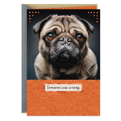 Someone Was Wrong Sad Dog Sorry Card, 