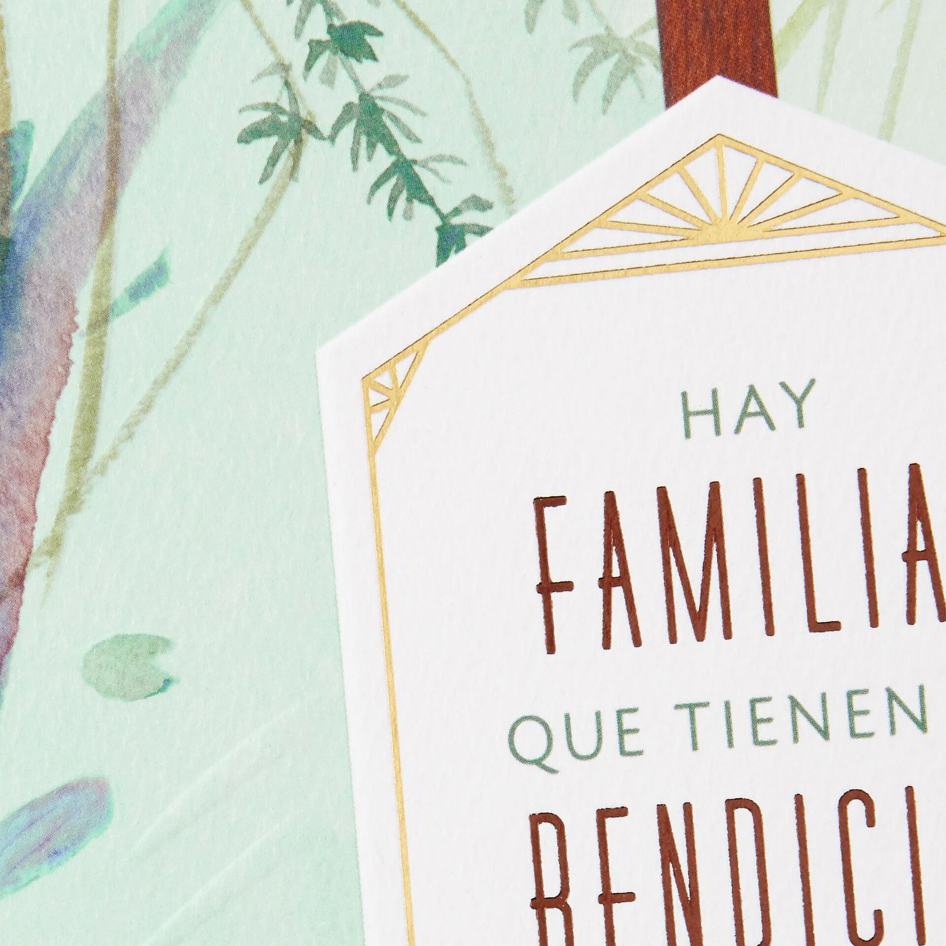 Koi Fish SpanishLanguage Father's Day Card With Mini