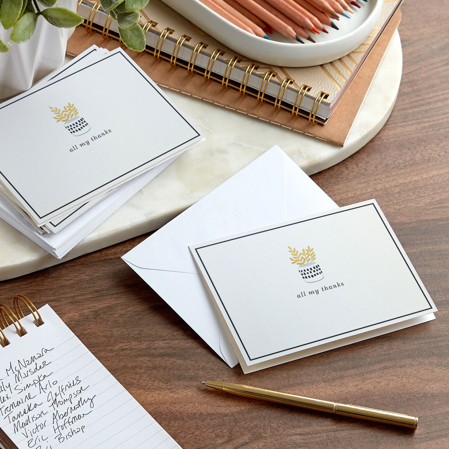 Black and White Potted Plant Thank You Cards Pack  image number 6