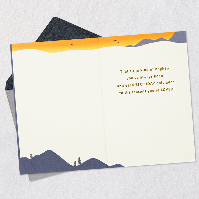 All the Reasons You're Loved Birthday Card for Nephew, , large image number 3