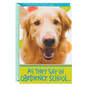 Healing Dog Funny Get Well Card, , large image number 1