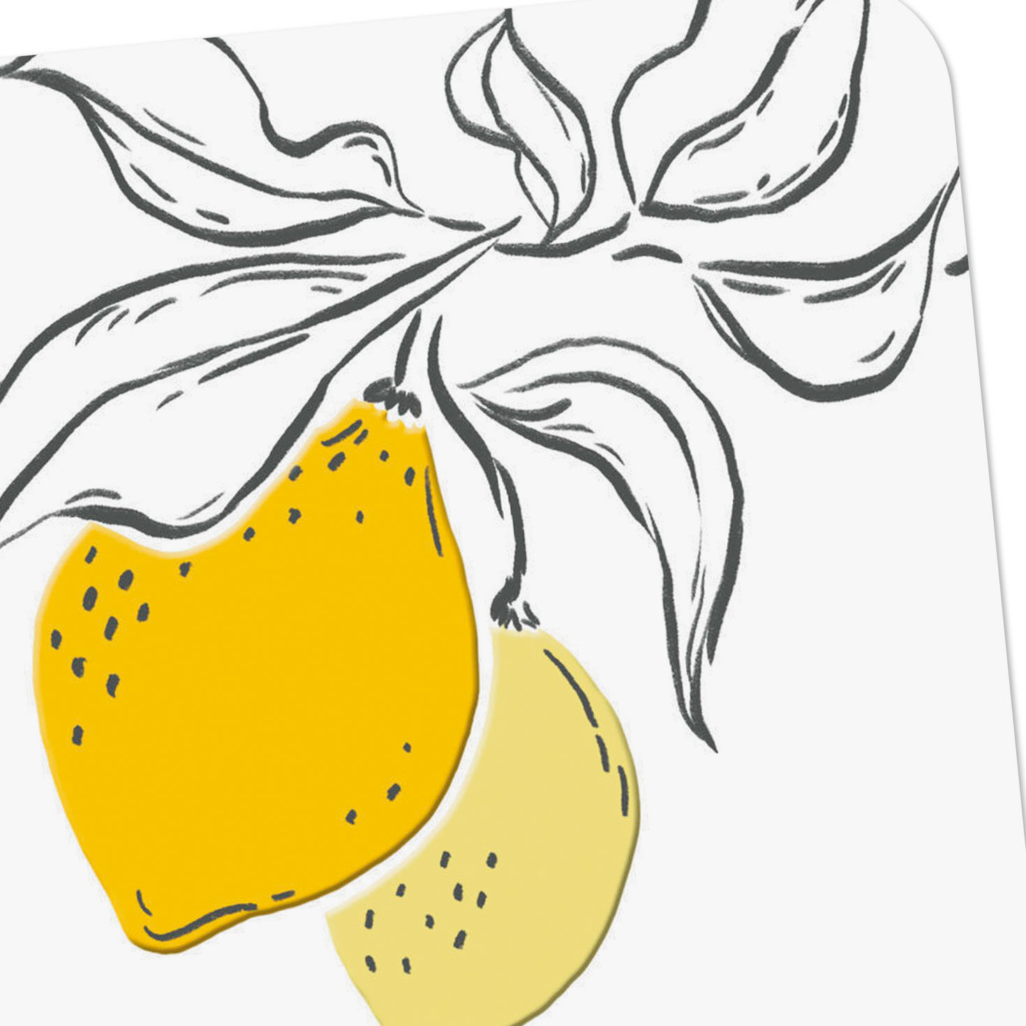 Lemons on White Encouragement Card Card Front Detail image number 4