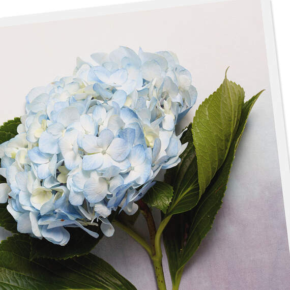 Blue Hydrangea Flower Blank Card, , large image number 3