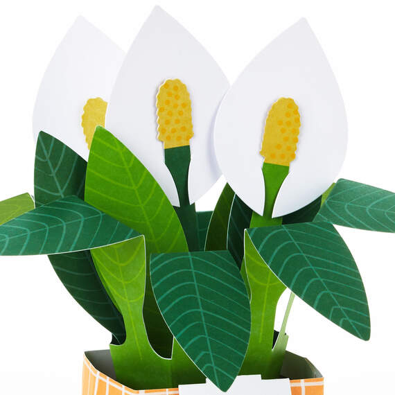 Peace Lily Love You 3D Pop-Up Thinking of You Card, , large image number 4