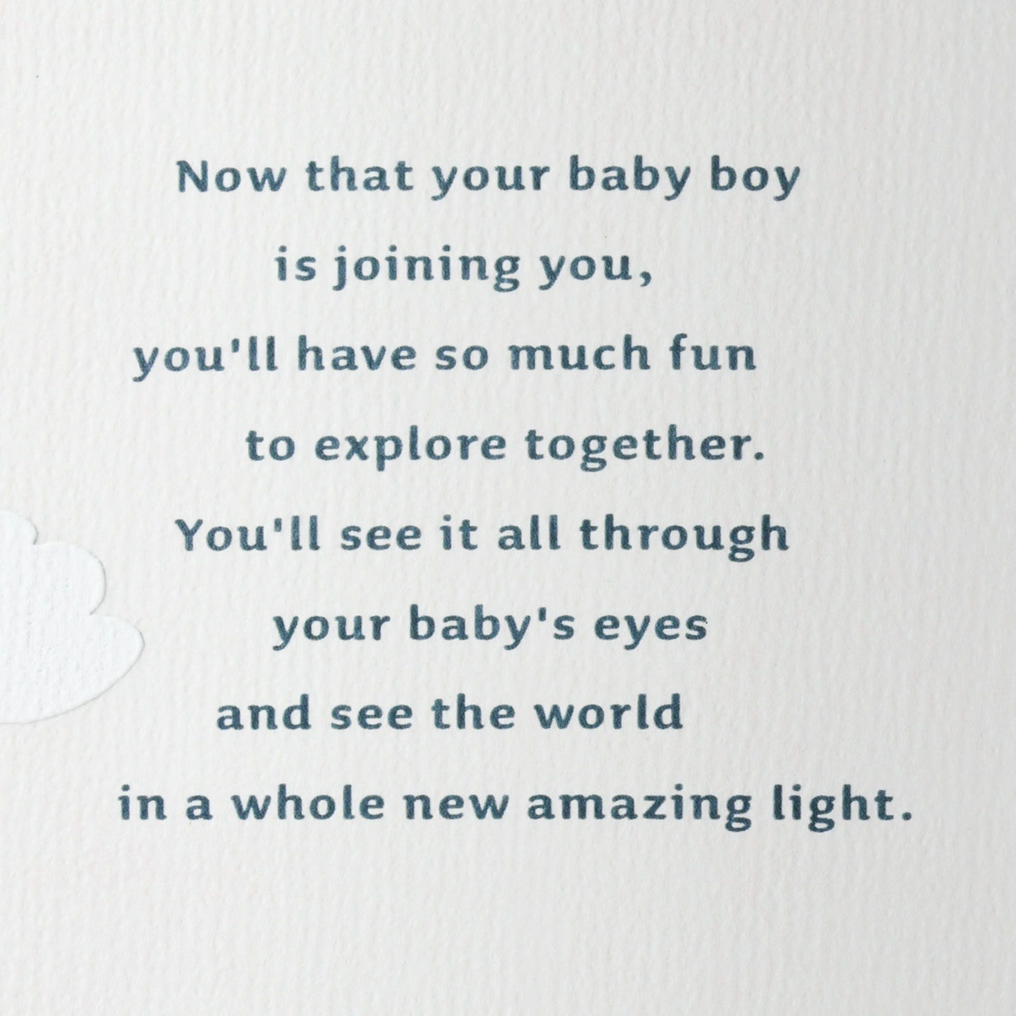 Little Wild One New Baby Boy Card, , large image number 2