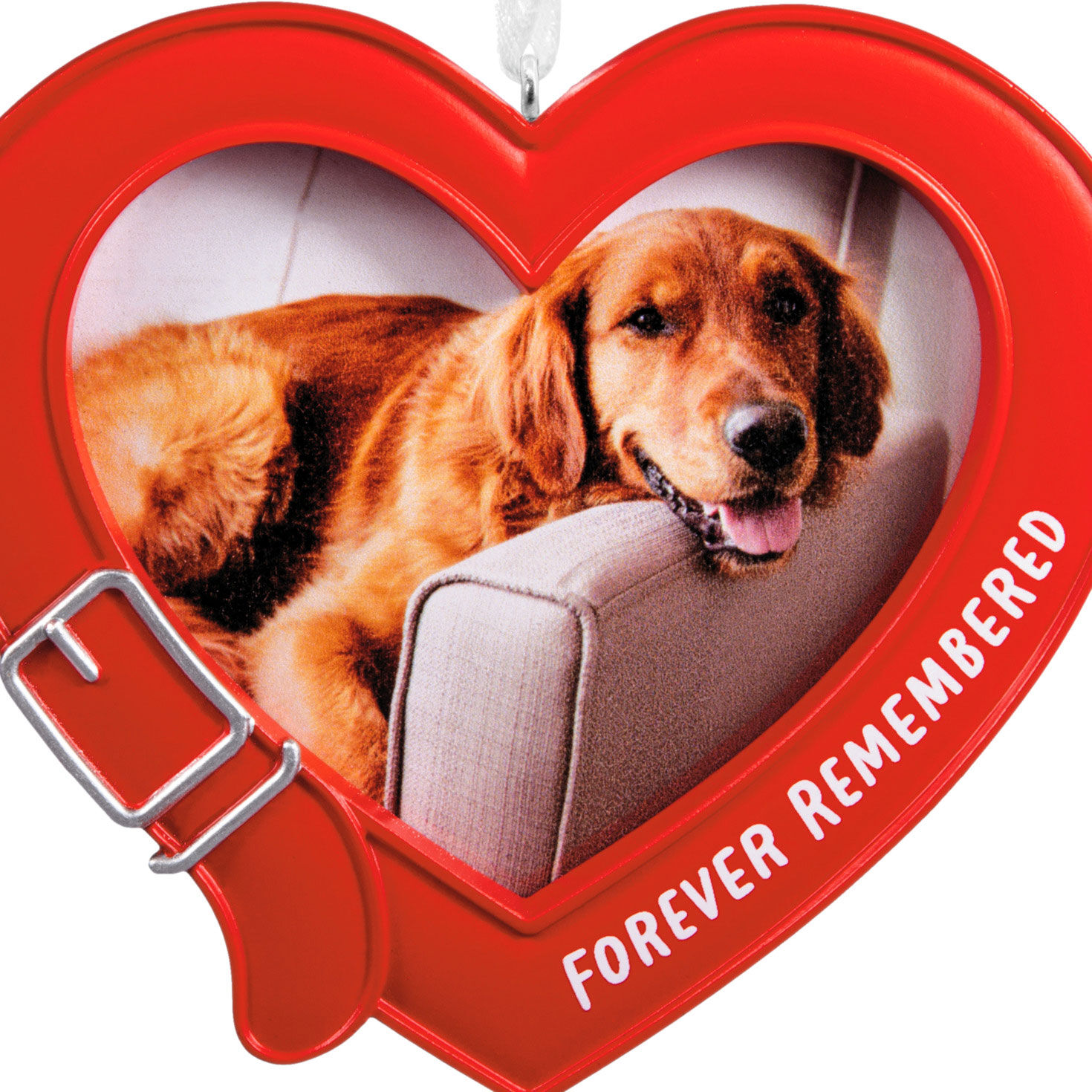 Red Heart Pet Collar Frame Christmas Ornament closeup view image number 5