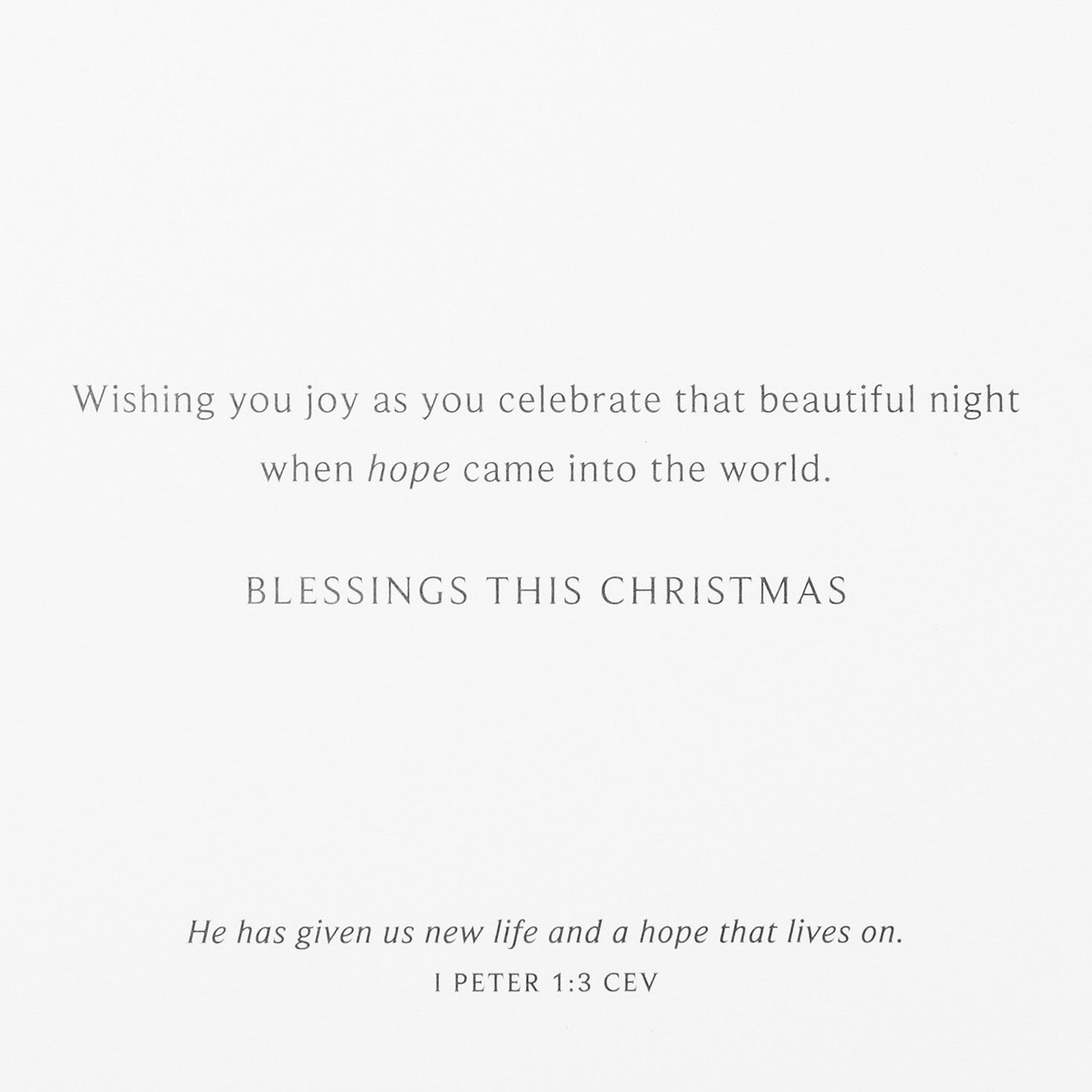 Noel on Blue DaySpring Religious Christmas Cards sentiment image number 4
