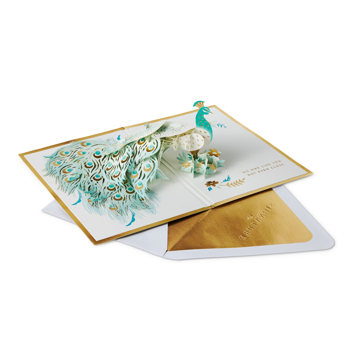 Blue and Green Peacock Encouragement Card Open card with envelope image number 2