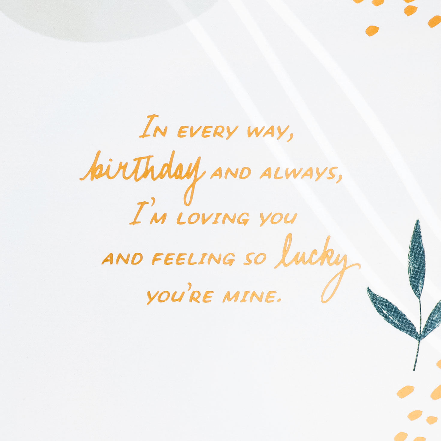 Leaves and Abstract Patterns Wife Birthday Card Sentiment image number 3