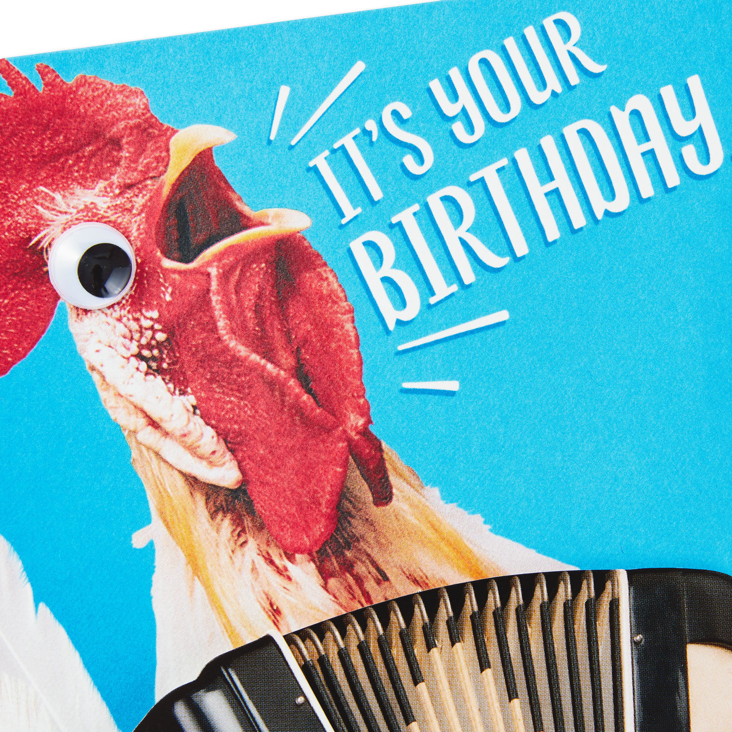 Chicken With Accordion Birthday Card With Motion Card Front Detail image number 5