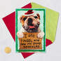 Bulldog in Santa Hat Funny Christmas Card, , large image number 5