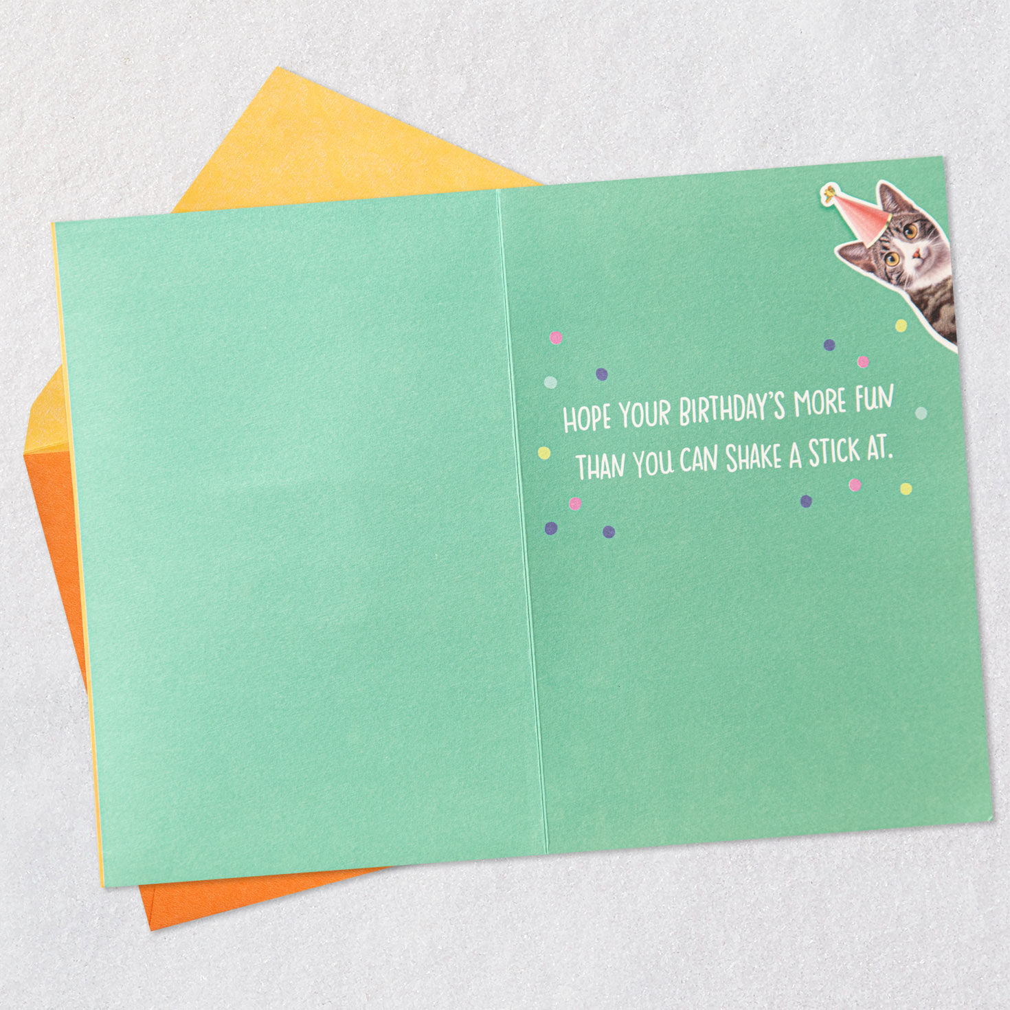 Cat With Pi&ntilde;ata Funny Birthday Card With Motion Open card with envelope image number 3