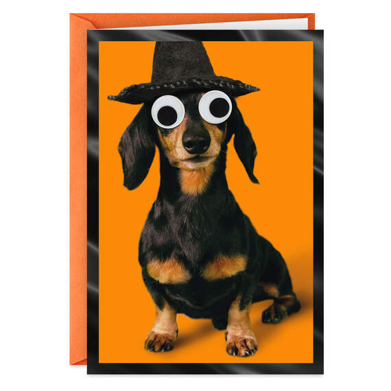 Happy Hallowiener Witch Dog Funny Halloween Card, , large image number 1
