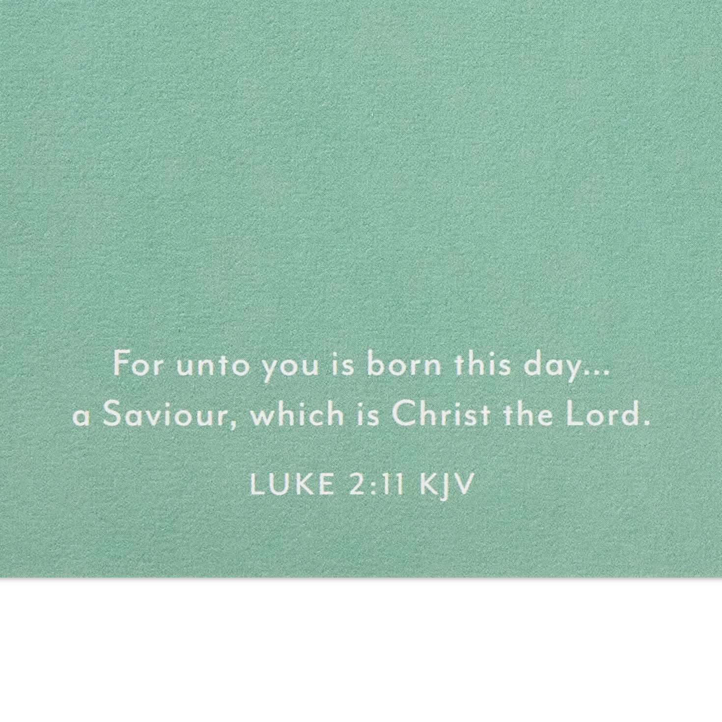 Nativity Poinsettia Religious Christmas Card scripture image number 3