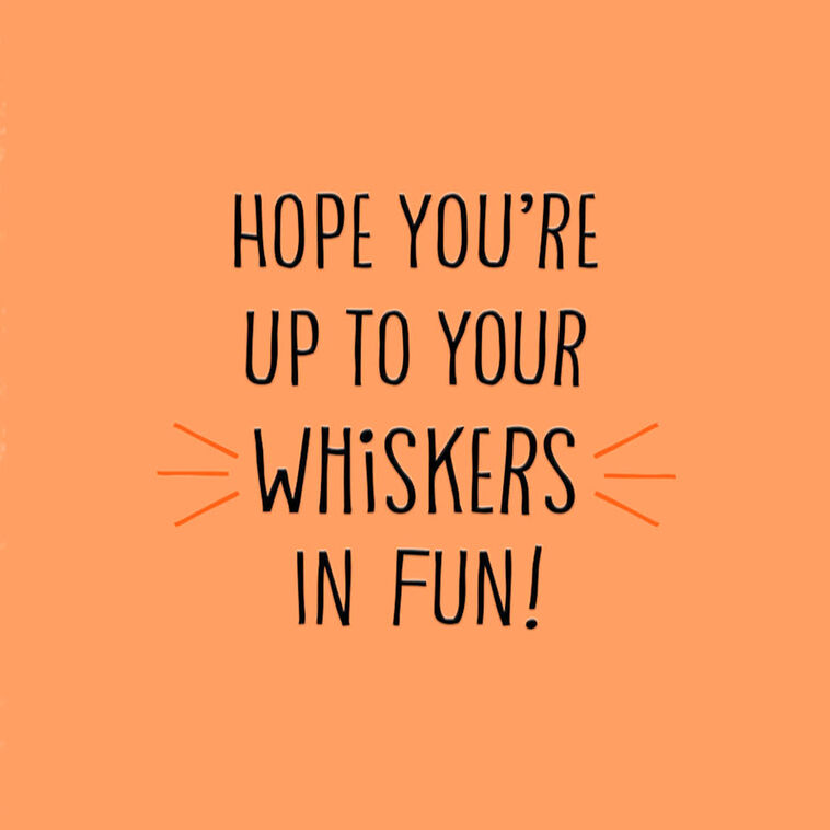 Black Cat and Pumpkin on Green Halloween Card Sentiment image number 2