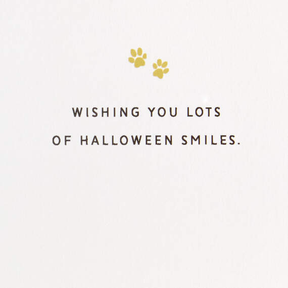 Cats and Dogs in Costumes Halloween Card, , large image number 2