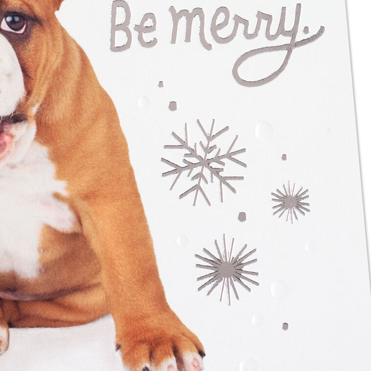 English Bulldog in Santa Hat Christmas Card Card Front Detail image number 5