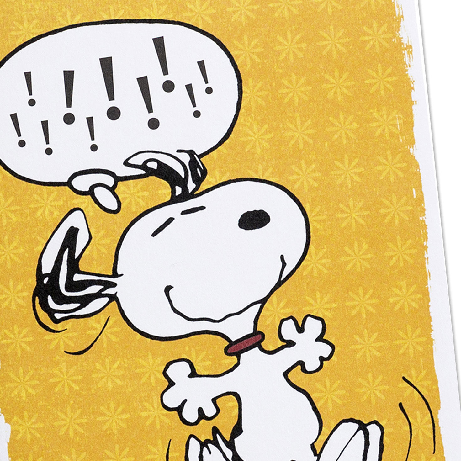 Peanuts DaySpring Encouragement Assortment Cover Detail image number 5
