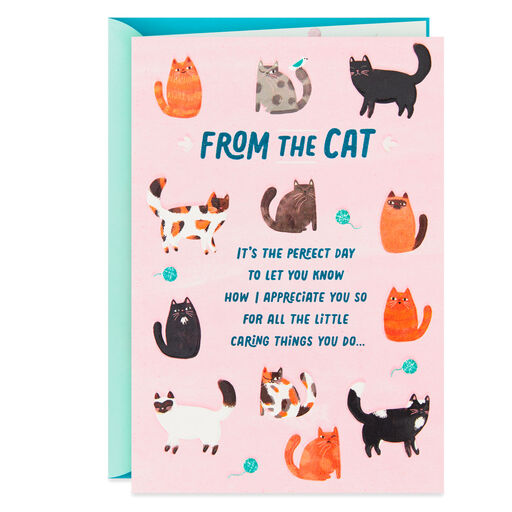 So Glad I Adopted You Mother's Day Card From the Cat, 